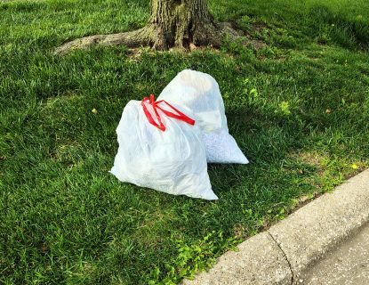 Two trash bags sitting by the curb